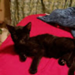 Meet your Posher, Cindy